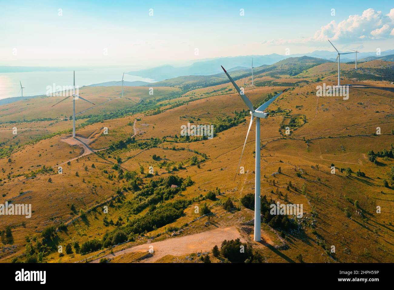 Windgeneratoren produzieren erneuerbaren Strom im Hochland mit seltenen Bäumen in der Nähe der Adria unter blauem Himmel bei sonnigem Blick von der Drohne aus Stockfoto