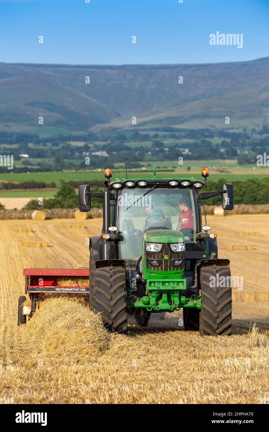 Herstellung von Strohballen für Tierbezüge mit einem John Deere Traktor 6130R und einer alten internationalen Ballenpresse und einem flachen 8-System. Eden Valley, Cumbria, Großbritannien. Stockfoto