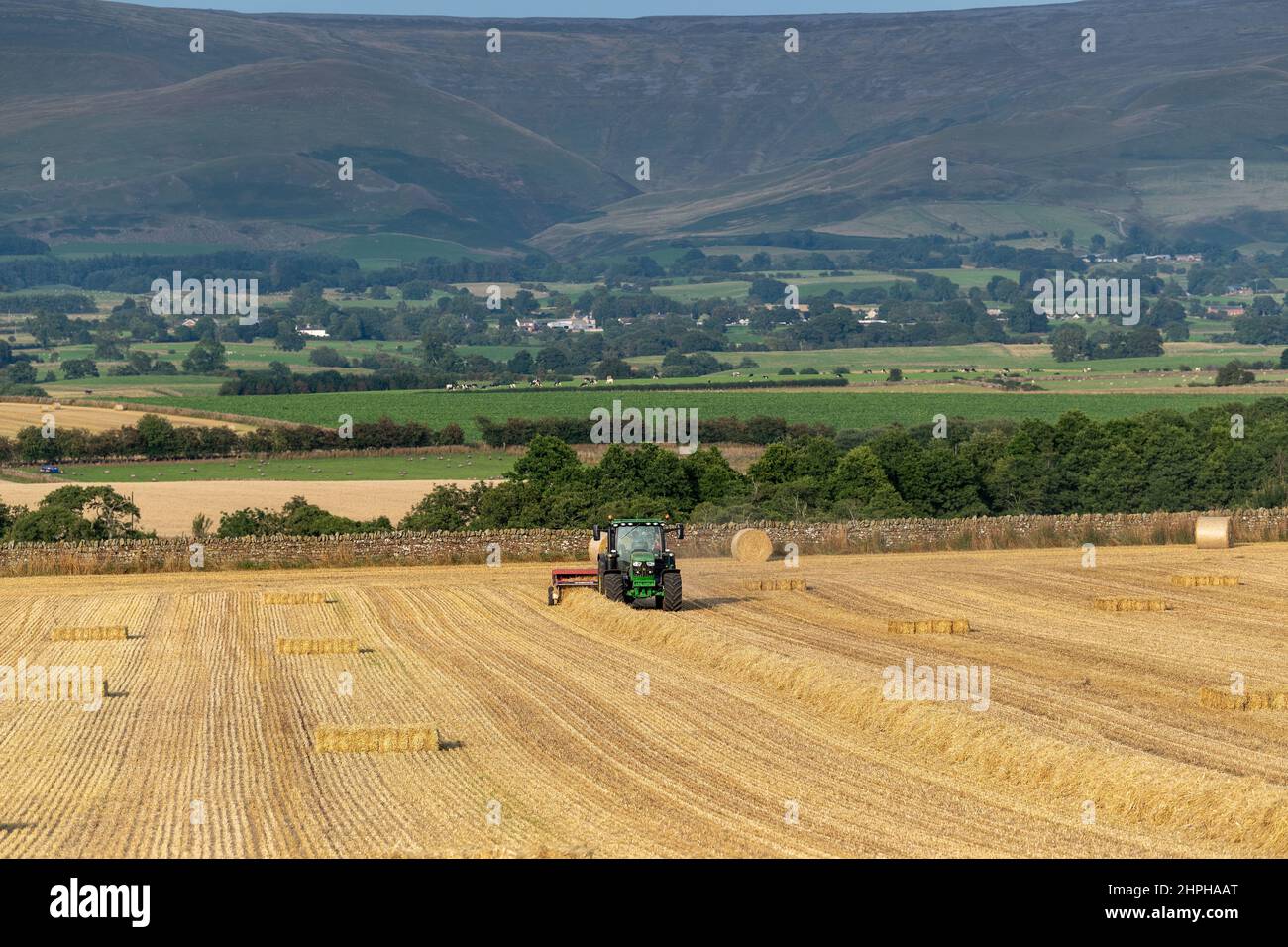 Herstellung von Strohballen für Tierbezüge mit einem John Deere Traktor 6130R und einer alten internationalen Ballenpresse und einem flachen 8-System. Eden Valley, Cumbria, Großbritannien. Stockfoto