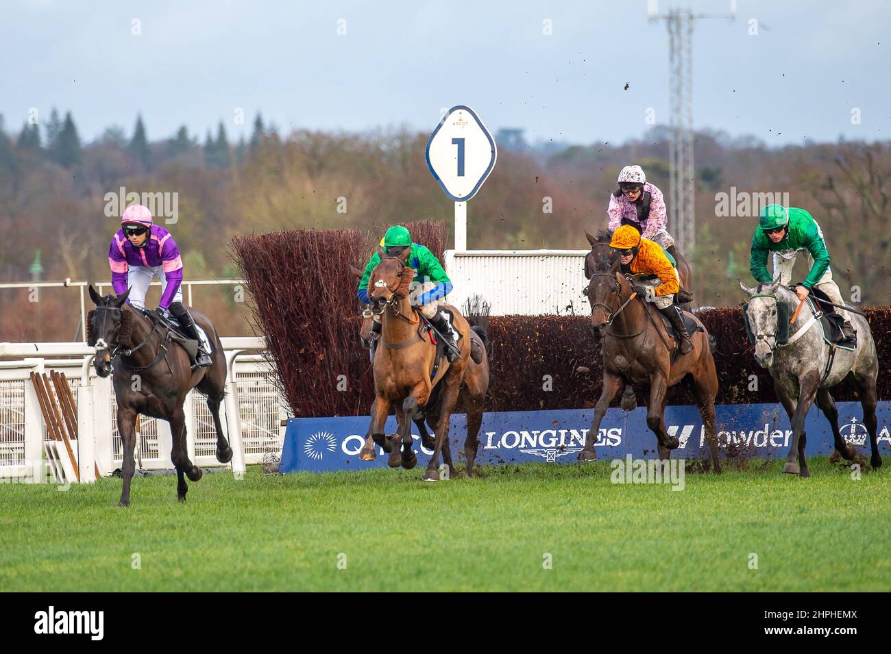 Ascot, Bergen, Großbritannien. 19th. Februar 2022. Fahrer der Swinley Chase GreatBritishStallion-Showcase.co.uk auf der Ascot Racecourse. Quelle: Maureen McLean/Alamy Stockfoto