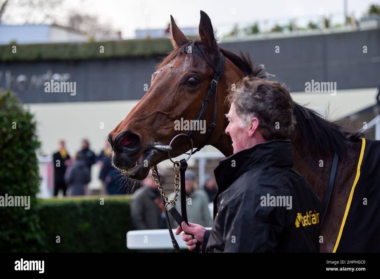 Ascot, Bergen, Großbritannien. 19th. Februar 2022. Der Gewinner des Betfair Ascot Steeple Chase auf der Pferderennbahn Ascot D'Oudairies. Quelle: Maureen McLean/Alamy Stockfoto