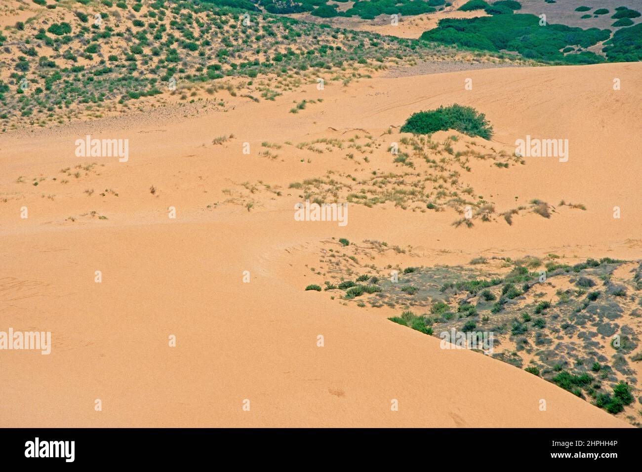 Piscinas Wüste, Sardinien (gescannt von Farblider) Stockfoto