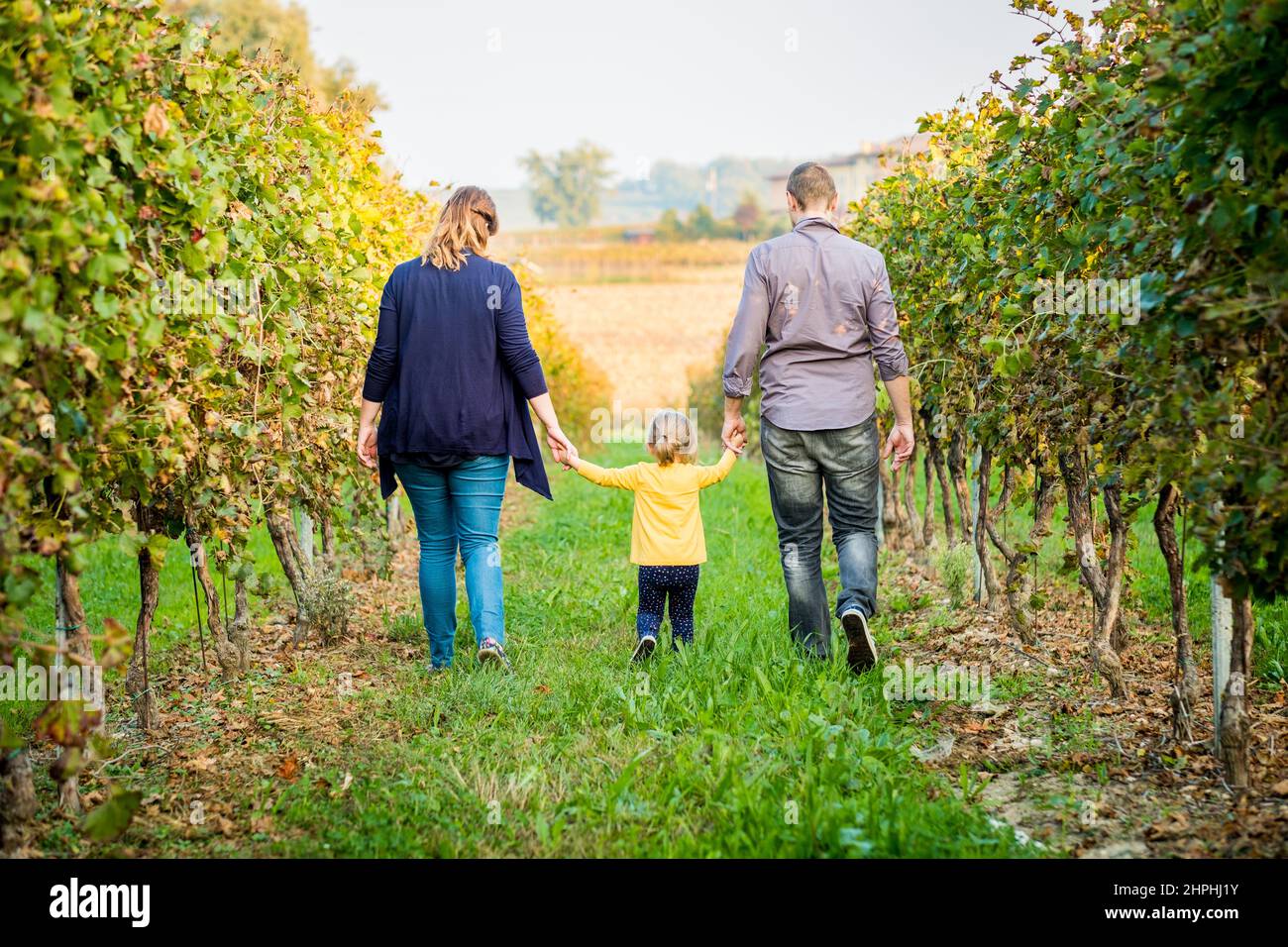 Glückliche Familie, die einen Spaziergang im Weinberg macht. Sonniger Herbsttag Stockfoto