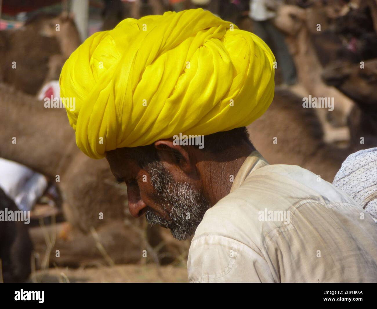 Porträt eines Mannes mit Turban auf dem Kamelmarkt in Pushkar, Rajasthan, Indi Stockfoto