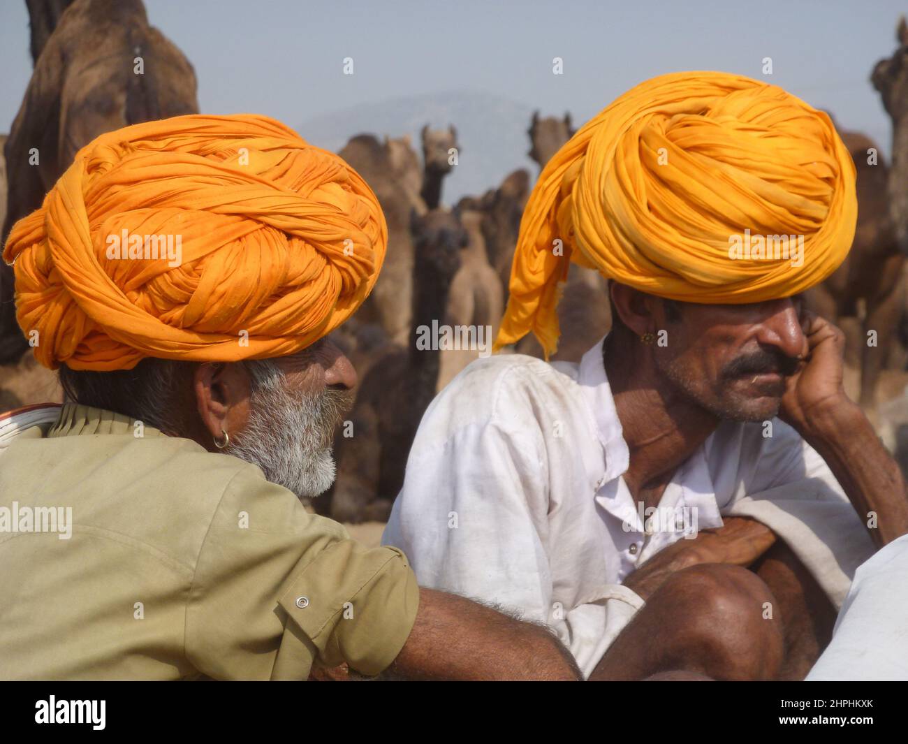 Männer mit Turban auf dem Kamelmarkt in Pushkar, Rajasthan, Indien Stockfoto