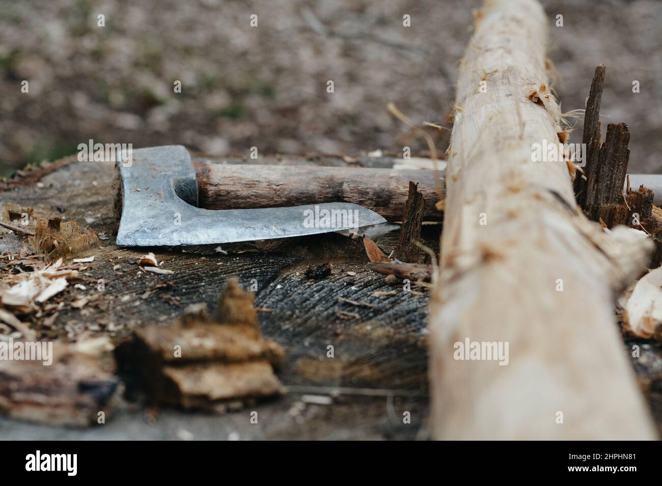 Nahaufnahme eines Holzes, das mit Axt für Brennholz abgeschlagen wurde Stockfoto