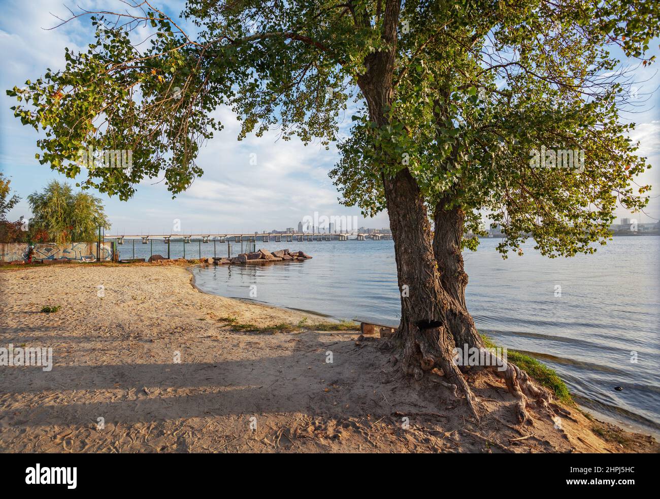 Dnepropetrovsk, Panorama der Stadt, Zentrum und zentrale Brücke am Ufer des Dnjepr, Vordergrundbaum Stockfoto