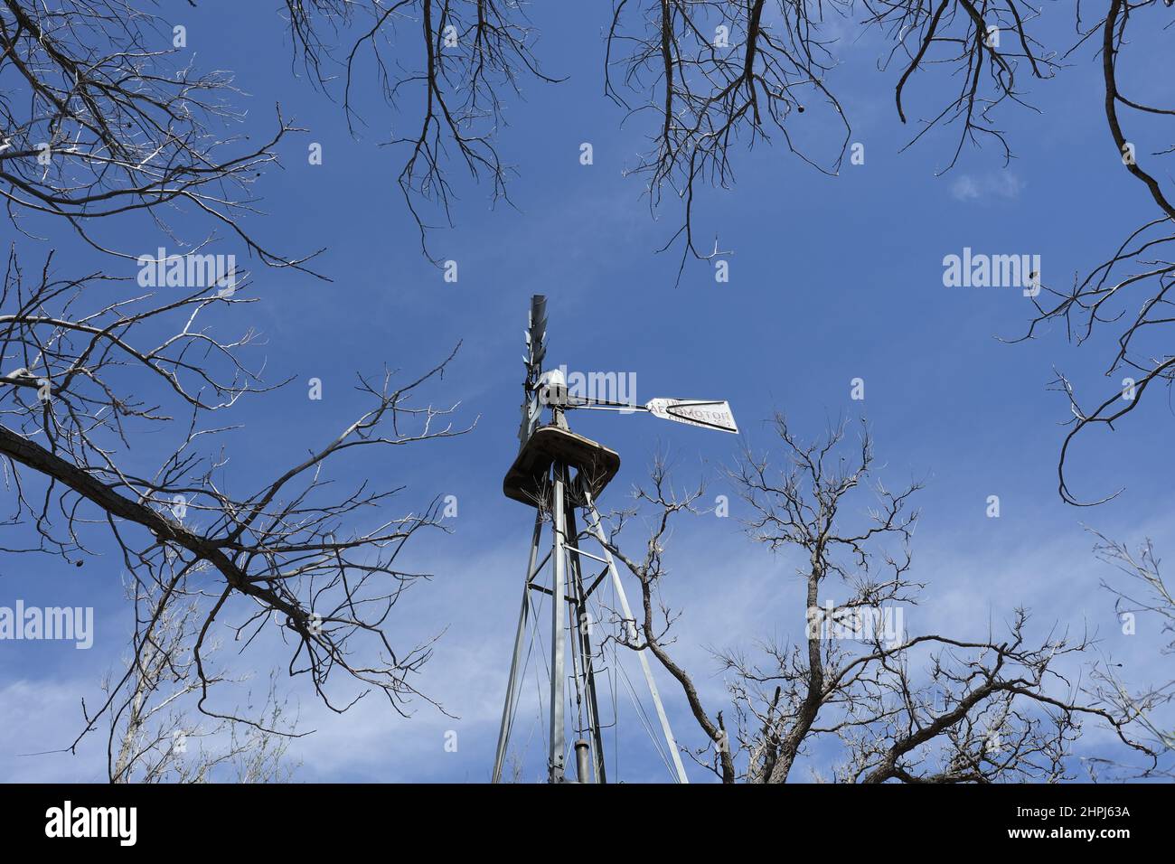 Metallwindmühle silberfarben, umrahmt von Ästen Stockfoto