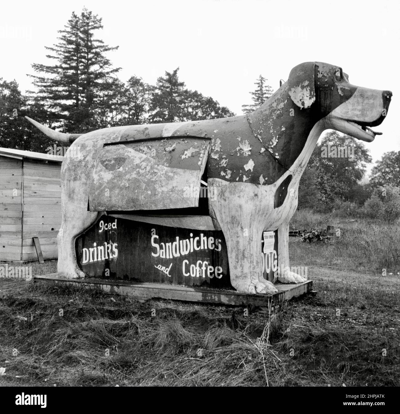 Dorothea lange - Neuheitsgebäude in Form eines riesigen Hundes. „Auf dem U.S. Highway 99, der durch Williamette Valley, Oregon, führt“ Stockfoto