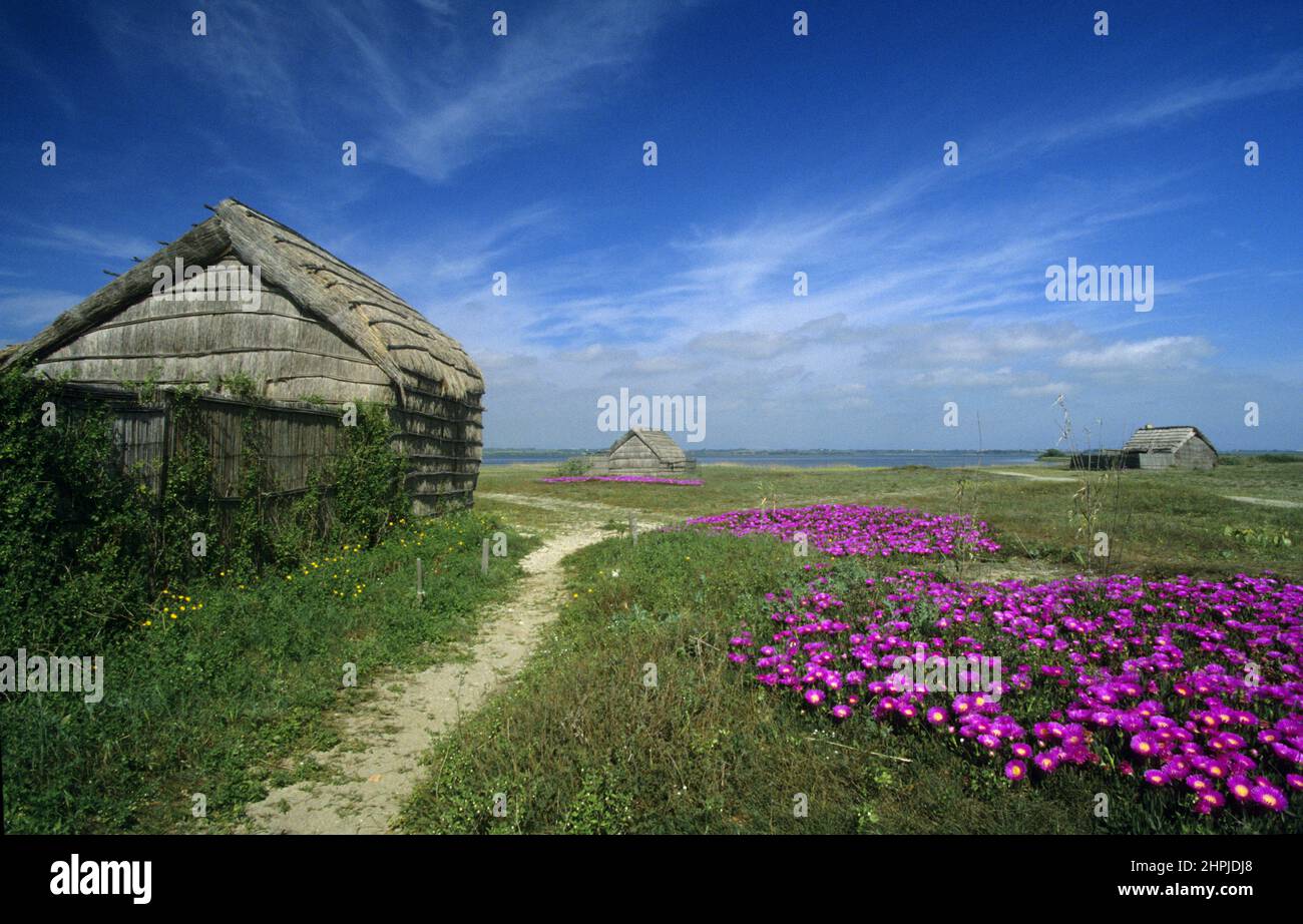 frankreich pyrenäen orientales canet roussillon Naturschutzpark Stockfoto