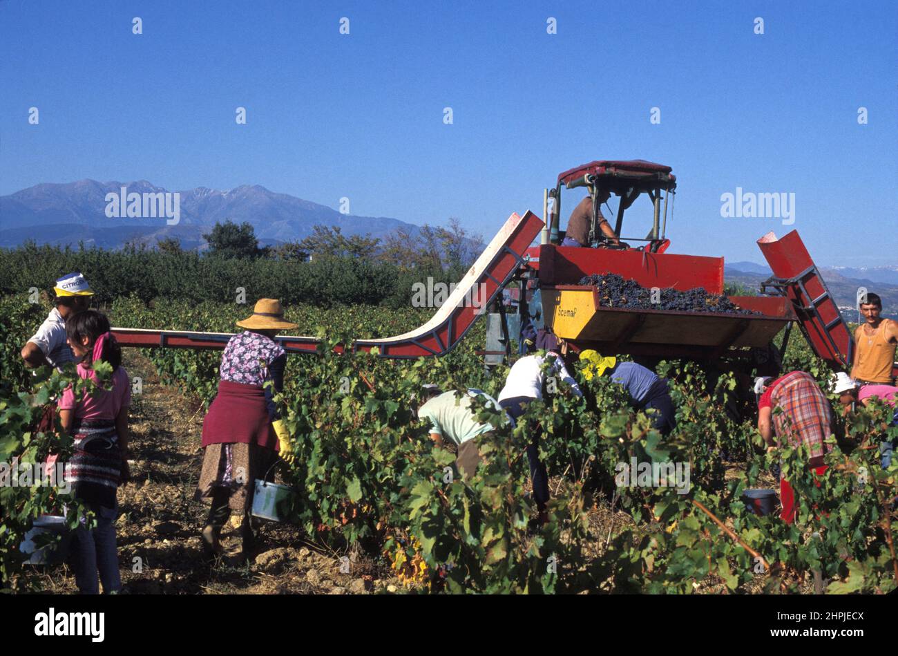 frankreich pyrenäen orientales roussillon aspres canigou Stockfoto