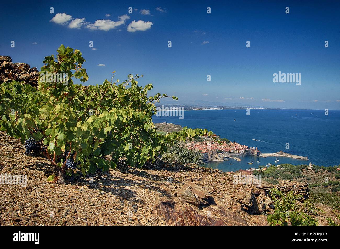 [frankreich pyrenees orientales roussillon cote vermeille collioure] Stockfoto