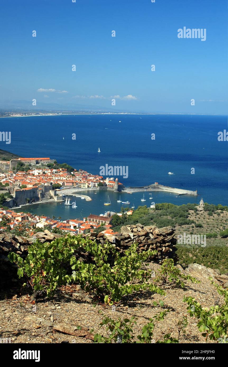 [frankreich pyrenees orientales roussillon cote vermeille collioure] Stockfoto