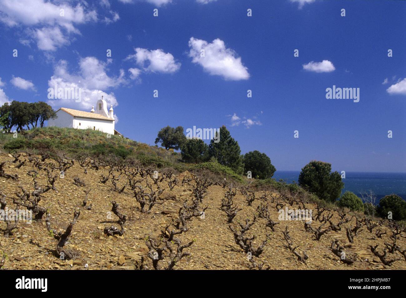 [FRANKREICH ROUSSILLON WEINBAU BANYULS CHAPELLE LA SALETTE Stockfoto