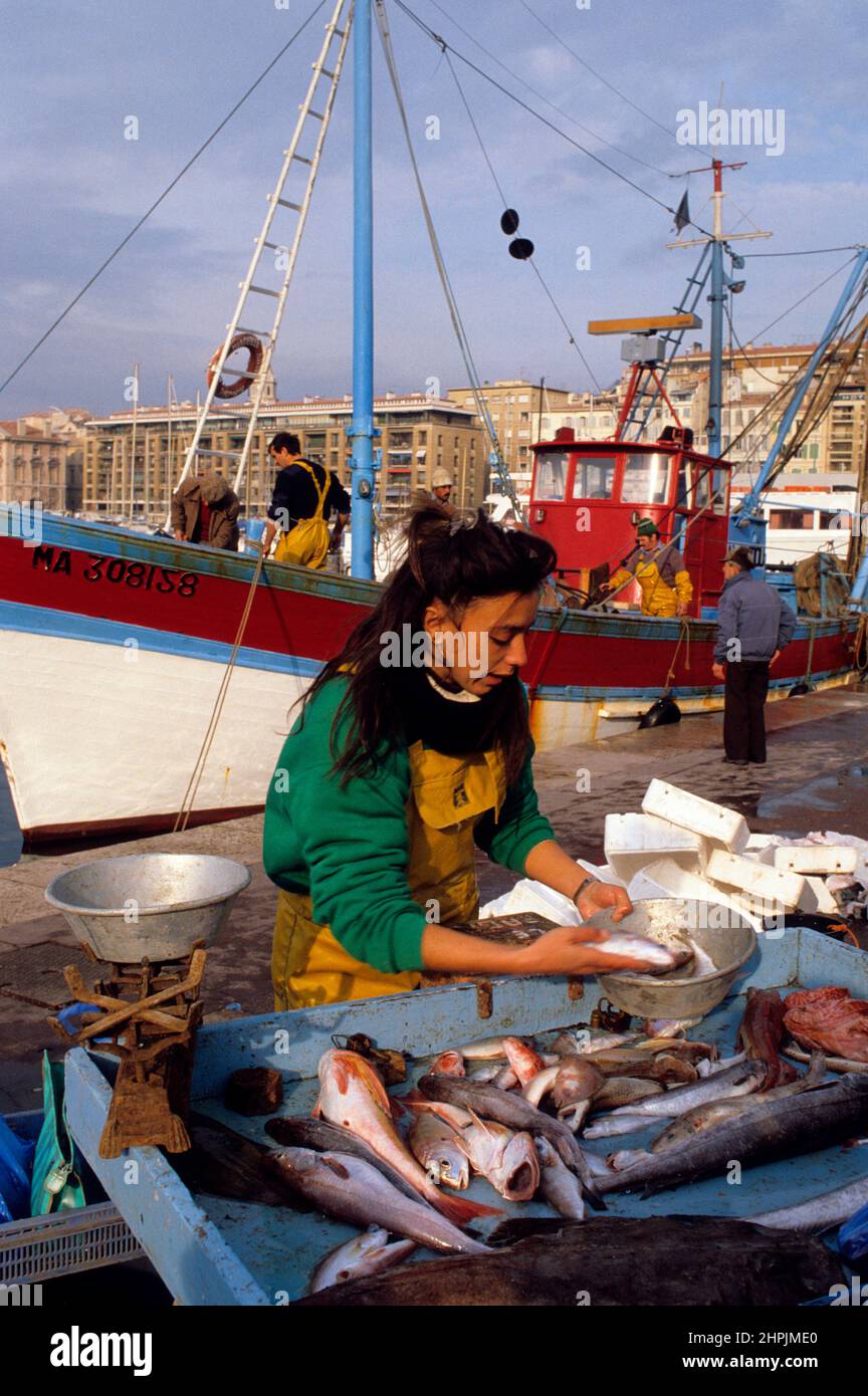 PECHE EN MER MEDITERRANEE HAFEN VON MARSEILLE Stockfoto