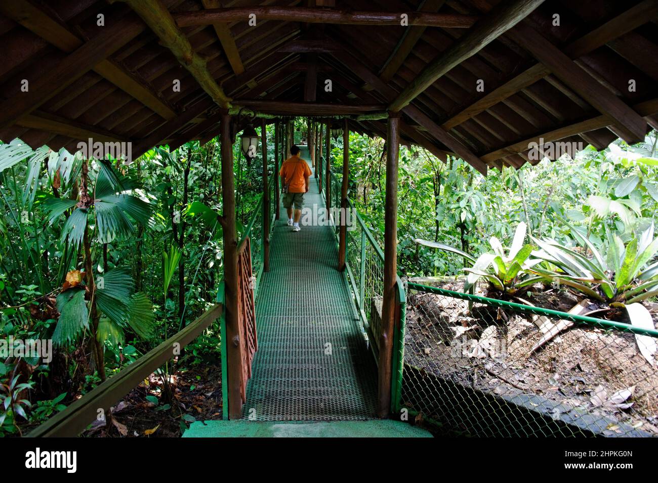 Costa Rica, La Fortuna, Reserva Ecologica Catarata Rio Fortuna Stockfoto