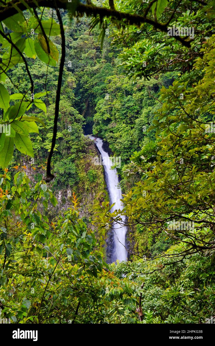 Costa Rica, La Fortuna, Reserva Ecologica Catarata Rio Fortuna Stockfoto