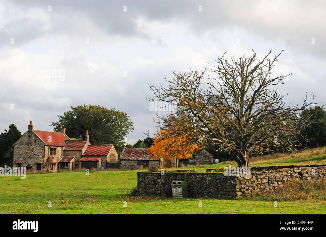 Goathland, Yorkshire. Herbst Stockfoto