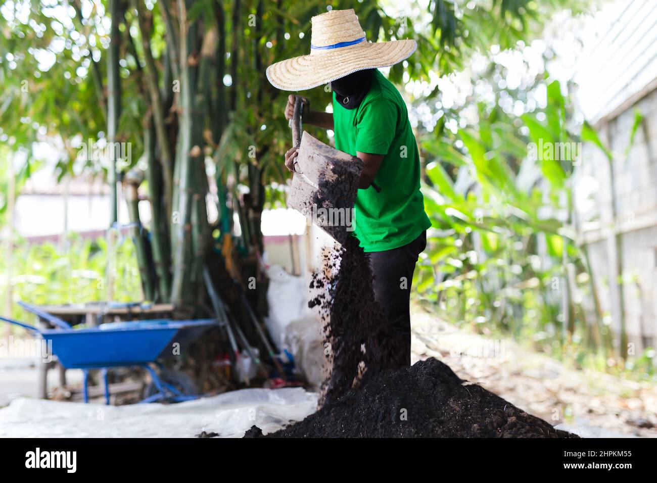 Mann Arbeiter mischen Düngerboden für die Plantage. Stockfoto