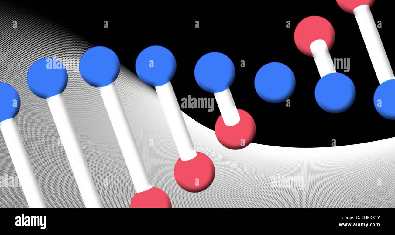 Bild eines sich drehenden dna-Strangs auf schwarzem und weißem Hintergrund Stockfoto