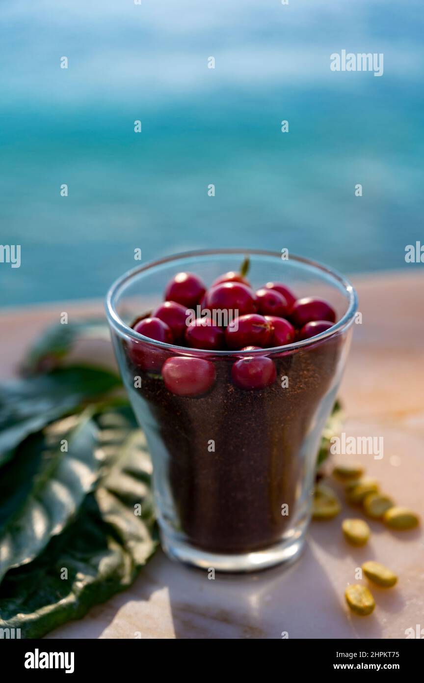 Rote reife arabica-Kaffeebeeren, grüne Kaffeesorten, Blätter und gerösteter gemahlener Kaffee in Glas aus nächster Nähe auf einem Marmortisch Stockfoto