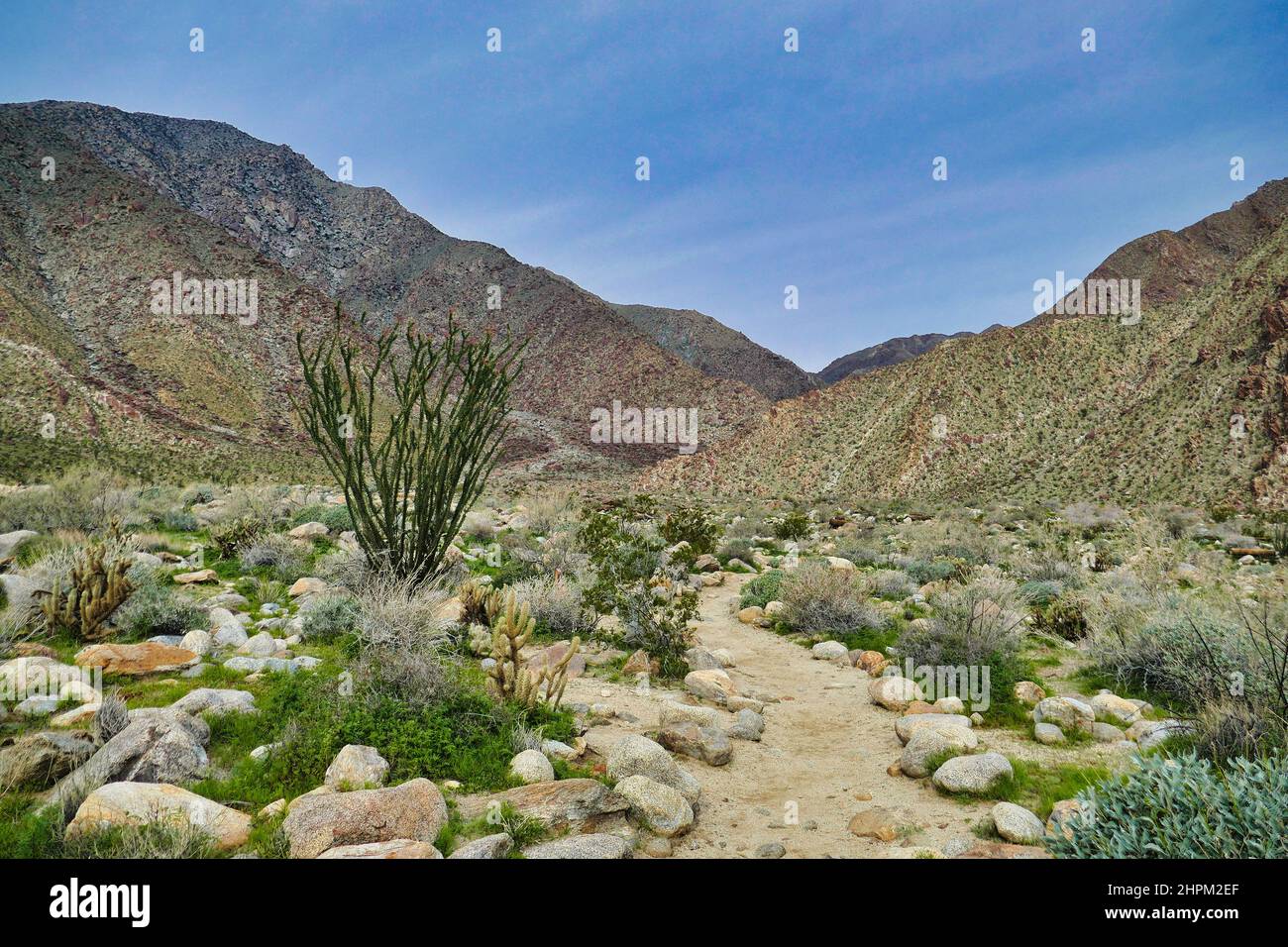 Der Borrego Palm Canyon Trail in der Wüste der San Ysidro Mountains, Anza-Borrego Desert State Park, Kalifornien, USA Stockfoto