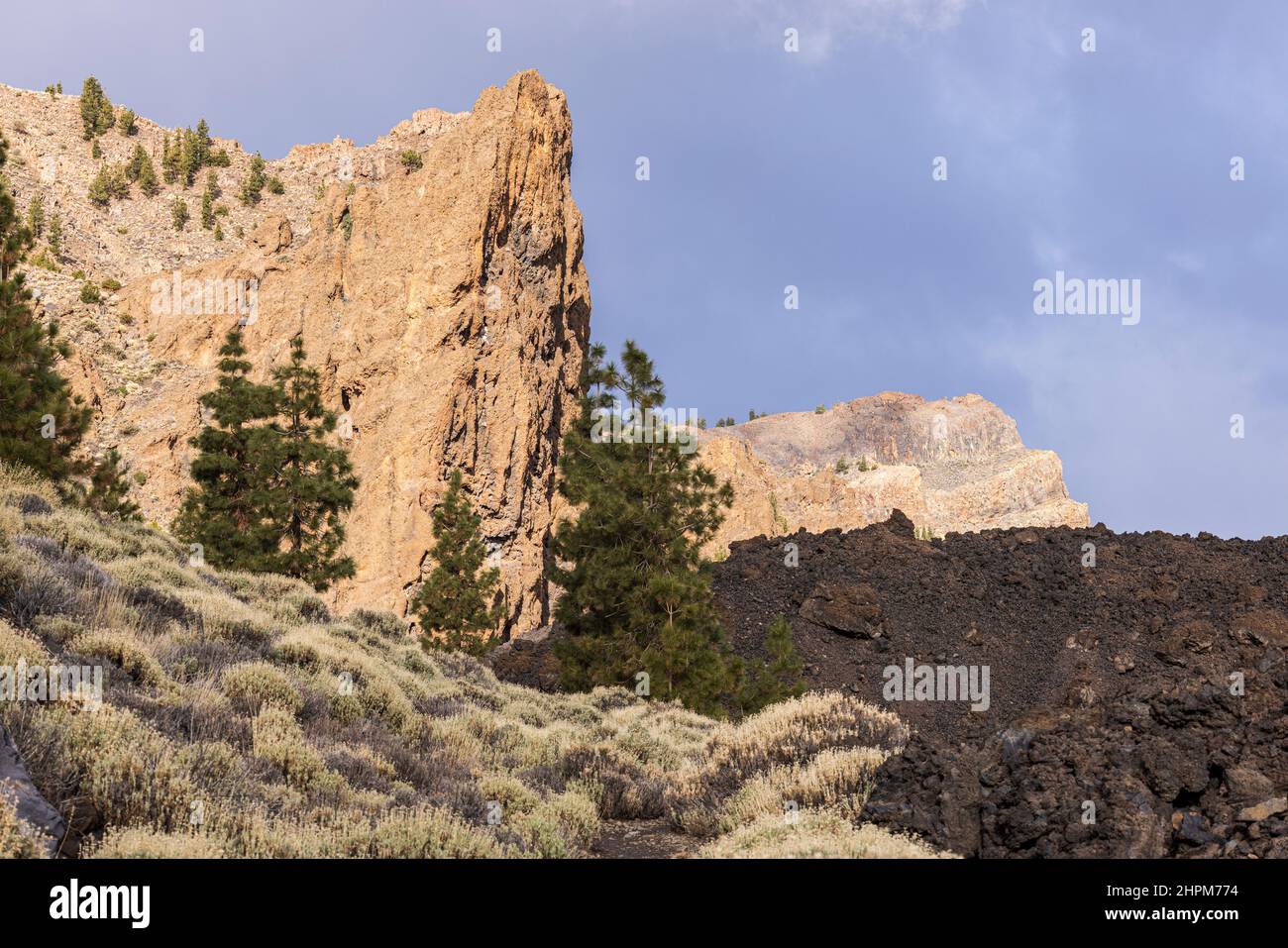 Vulkanische Felsformationen mit kanarischen Pinien, Pinus canariensis, im Nationalpark Las Canadas del Teide, Teneriffa, Kanarische Inseln, Spa Stockfoto