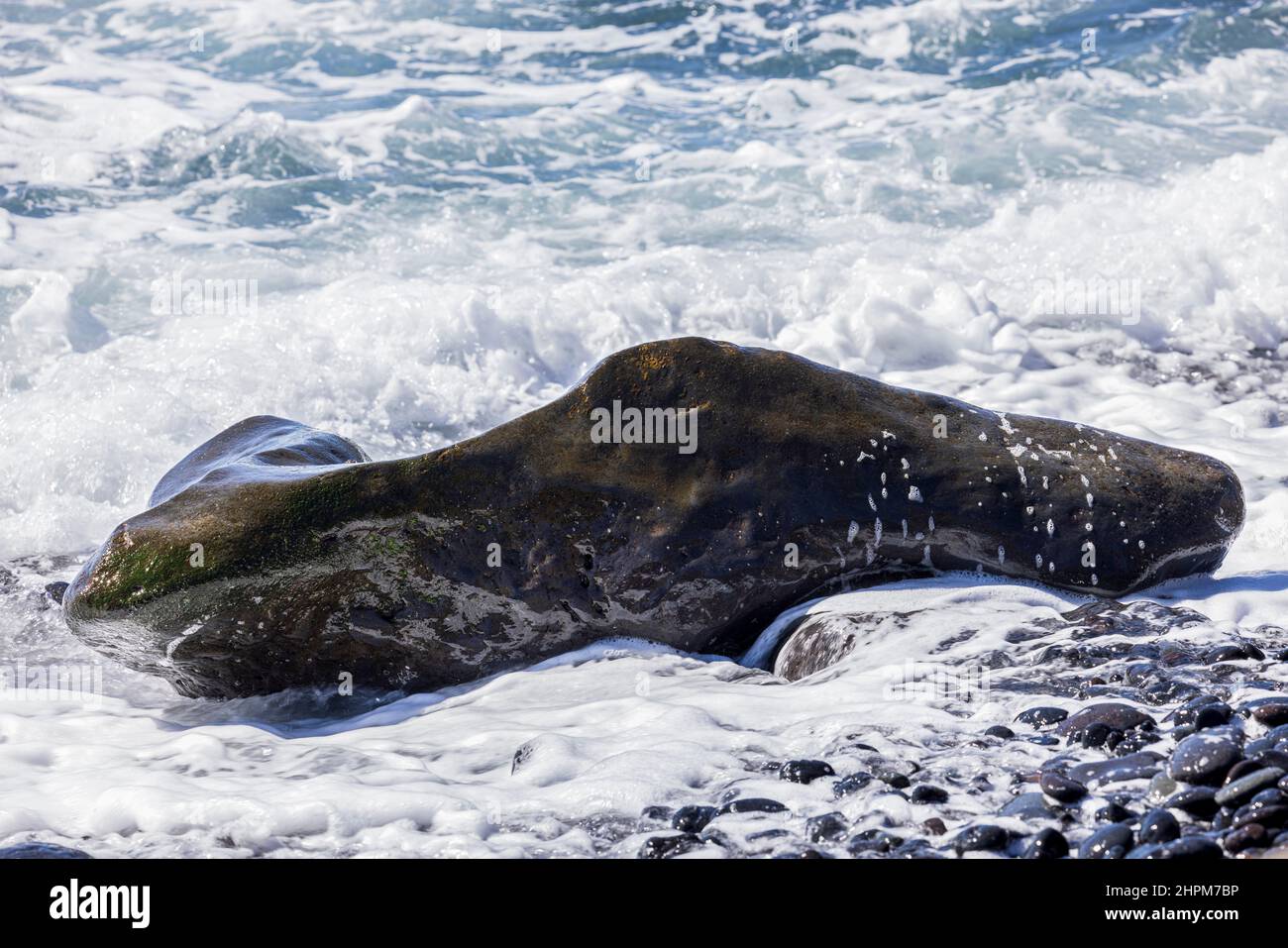 Gezeiten brechen über einem ungewöhnlich geformten Felsen an einem steinigen Strand in der Nähe von Playa de San Juan, Teneriffa, Kanarische Inseln, Spanien Stockfoto