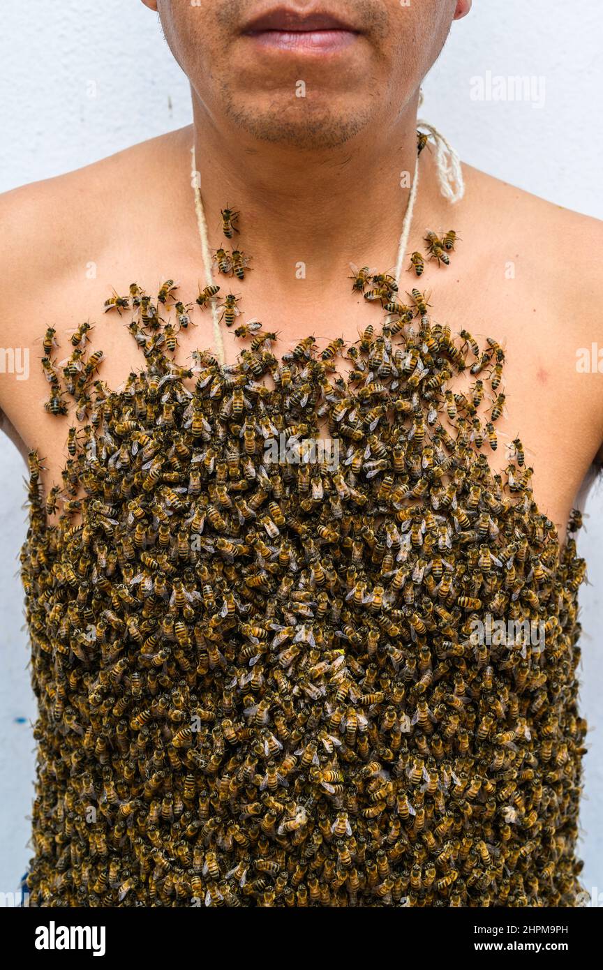 Der Körper des Menschen ist von Bienen bedeckt Stockfoto