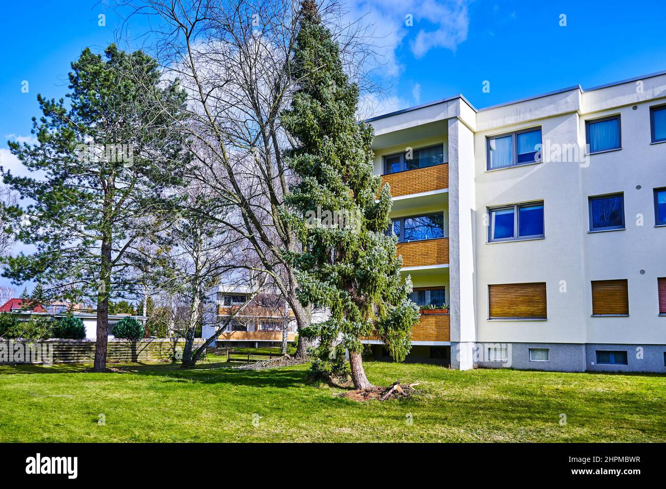 Ein entwurzelter und krumm gezockter Nadelbaum nach einem schweren Sturm. Stockfoto