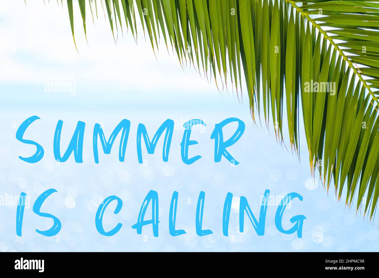 Der Sommer ruft Botschaft geschrieben in eleganter Schrift auf dem Hintergrund mit Palmblatt und blauem Meer. Urlaubskonzept und Werbung der Reiseagentur. Stockfoto