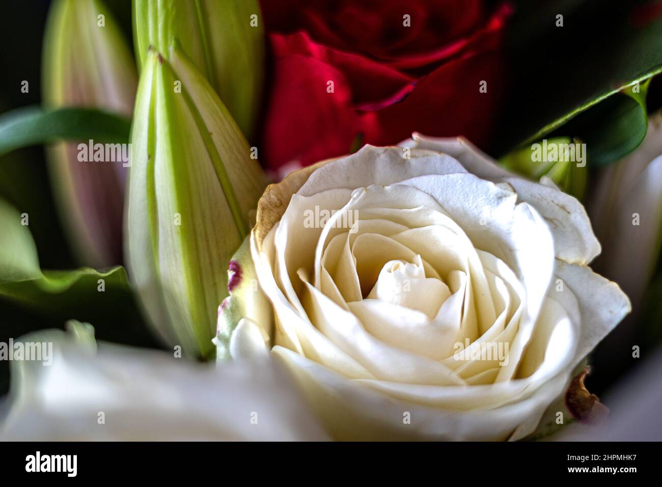 Nahansicht eines Blumenstraußes mit Rosen und Lilys Stockfoto