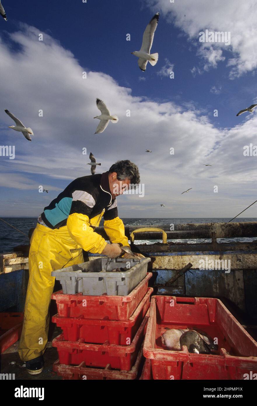 frankreich pyrenäen orientales roussillon peche au Lamparo Stockfoto