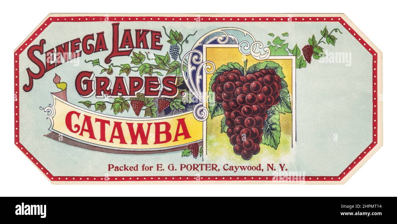 Weinlese in den USA Seneca Lake Grapes CATAWBA feuturing merlot Grapes Illustrated 1930s verpackt für E G Porter Caywood NY USA die Seneca Lake Wine Area beherbergt heute 27 Weingüter, der Seneca Lake Wine Trail liegt im Herzen der Finger Lakes Region in New York Stockfoto