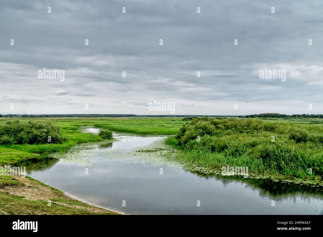 Landschaft des Biebrza-Nationalparks, des Biebrza-Flusses und der Feuchtgebiete, Wiesen, Sümpfe. Woiwodschaft Podlachien, Polen. Stockfoto