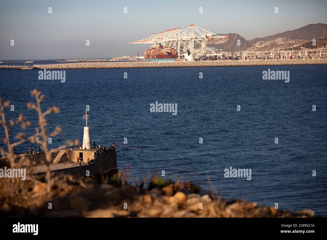 Im Tanger Med Port in Ksar es Seghir, Marokko, Nordafrika, stehen Containerkrane bereit, um Hafenfracht abzuwickeln. Stockfoto