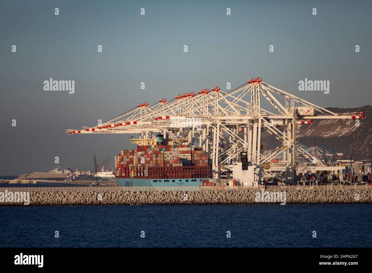Im Tanger Med Port in Ksar es Seghir, Marokko, Nordafrika, stehen Containerkrane bereit, um Hafenfracht abzuwickeln. Stockfoto