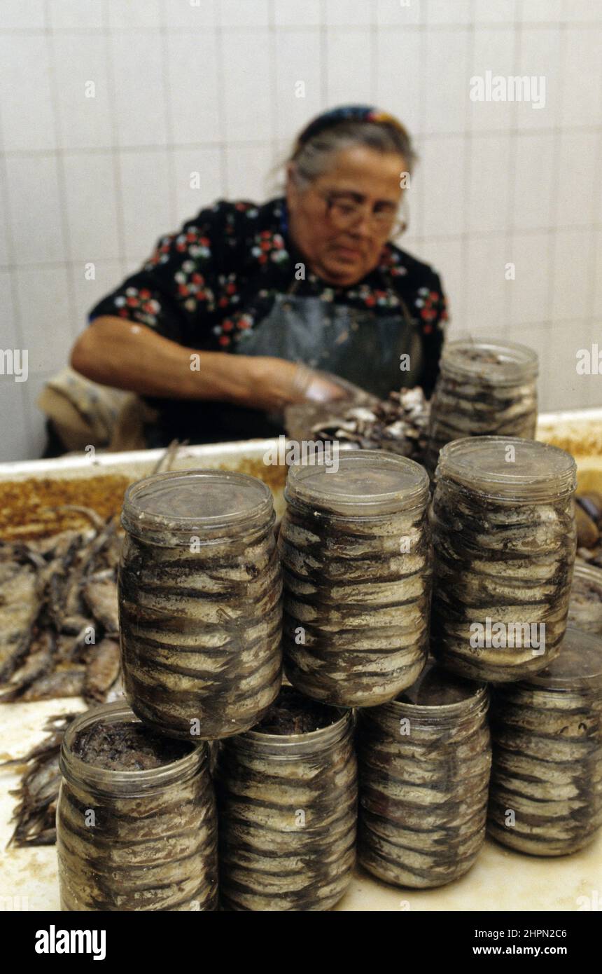 frankreich pyrenäen orientales Anchoas collioure conserverie desclaux Fischindustrie Tradition Lebensmittel frankreich pyrenäen orientales cote catalane cote vermeille Stockfoto