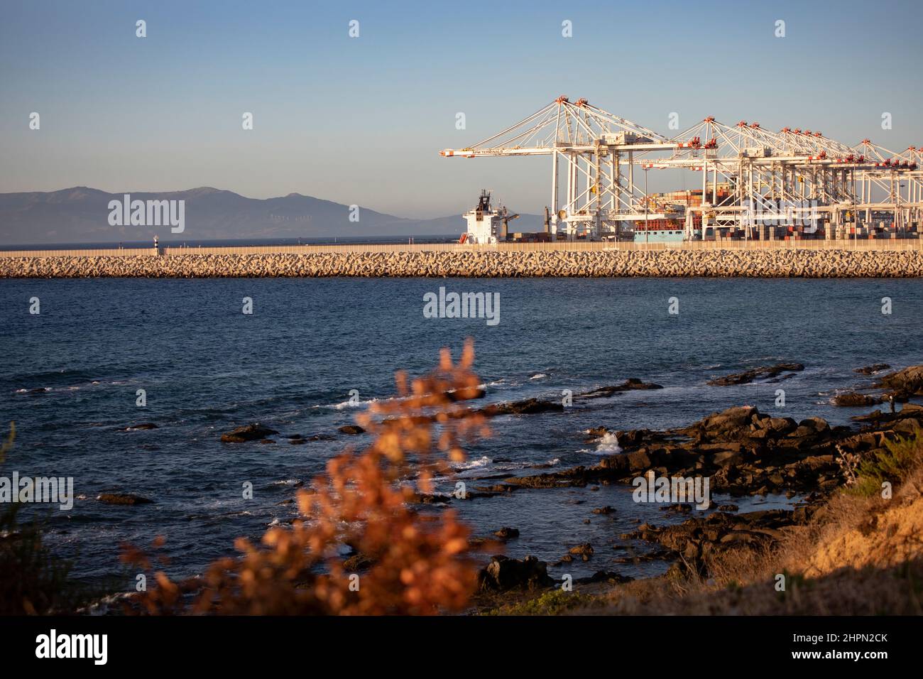 Im Tanger Med Port in Ksar es Seghir, Marokko, Nordafrika, stehen Containerkrane bereit, um Hafenfracht abzuwickeln. Stockfoto