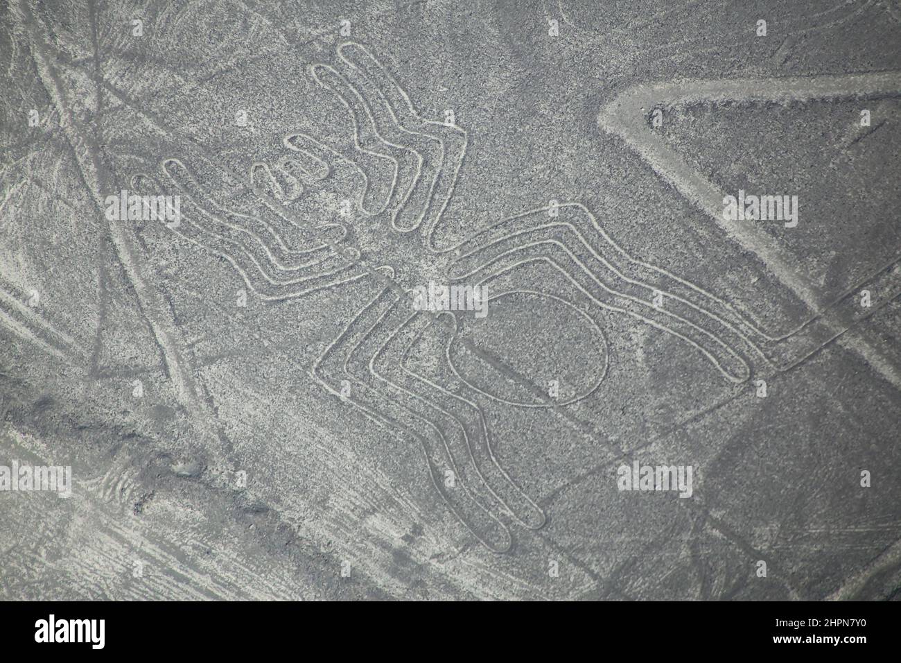 Luftaufnahme von Nazca-Linien - Spider Geoglyph, Peru. Die Linien wurden im Jahr 1994 als UNESCO-Weltkulturerbe ausgewiesen. Stockfoto