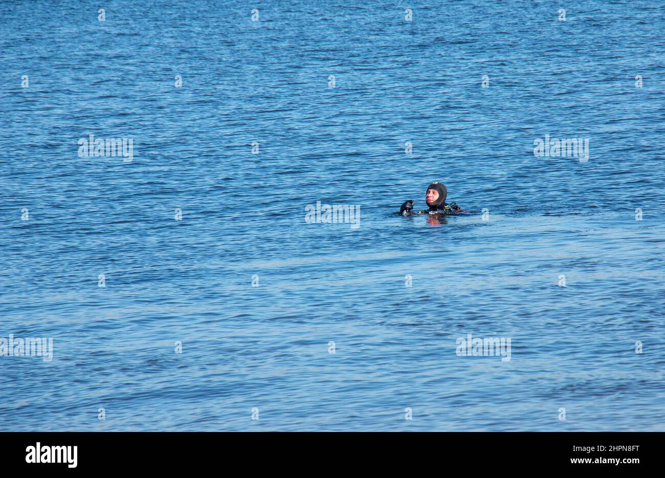 Dnepropetrovsk, Ukraine, Fluss Dnjepr - 02.21.2022: Professioneller Taucher in der Nähe der Flussküste. Kommerzielles Tauchen. Winter. Stockfoto