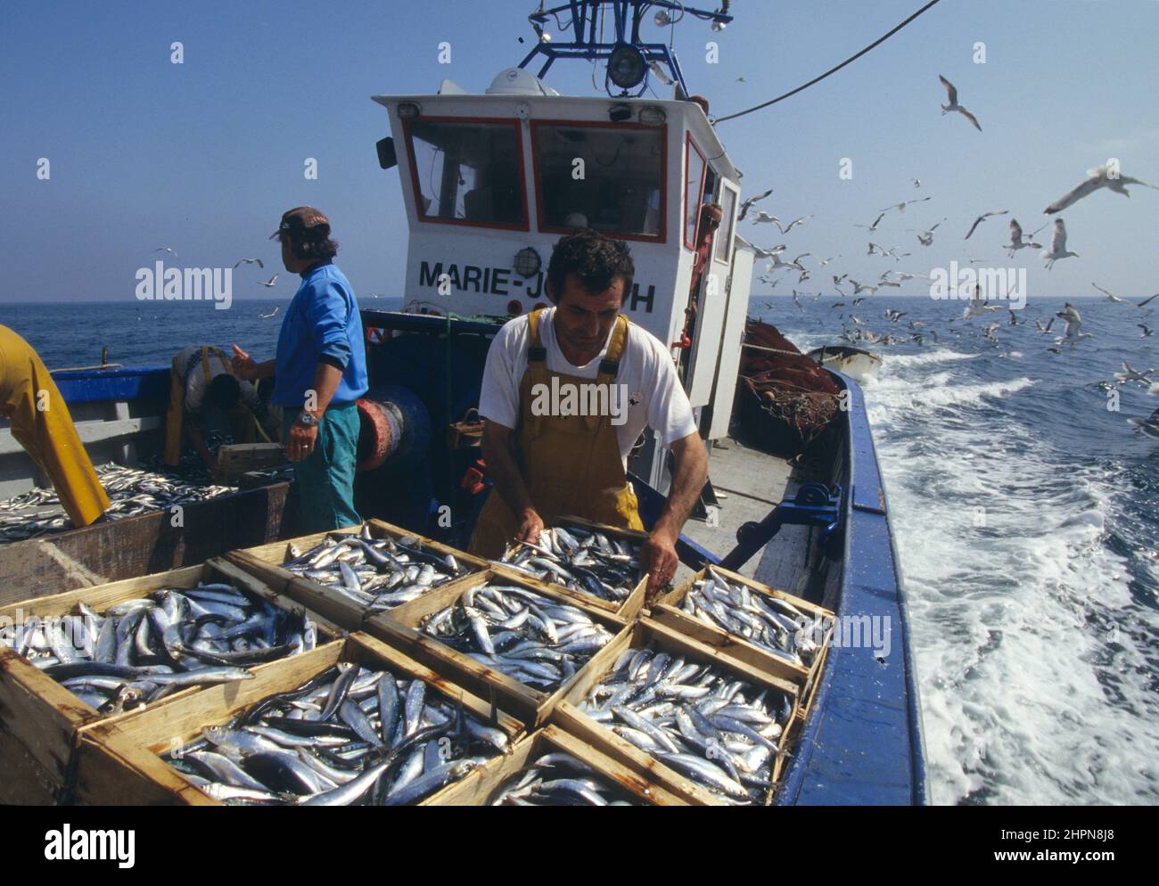 frankreich pyrenäen orientales roussillon peche au Lamparo Stockfoto