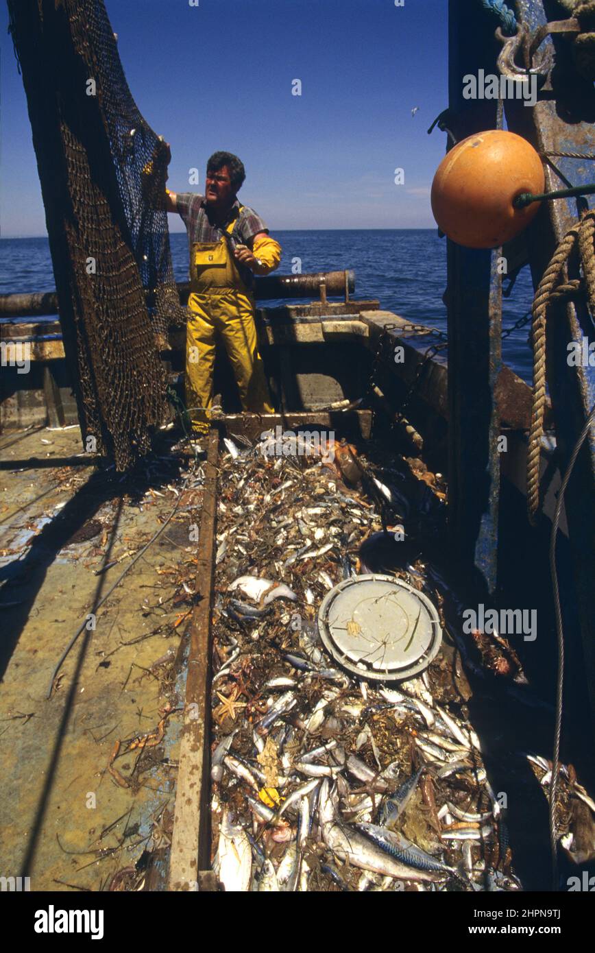 FRANKREICH Pyrenäen Orientales Roussillon Catalogne, Port de peche St Cyprien Chalutier Stockfoto