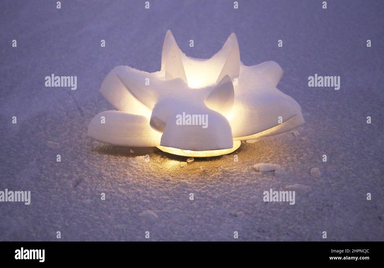 Wunderschöne weiße Lilienblumen leuchten auf einem schneebedeckten Teich zwischen Eis und Schnee Stockfoto