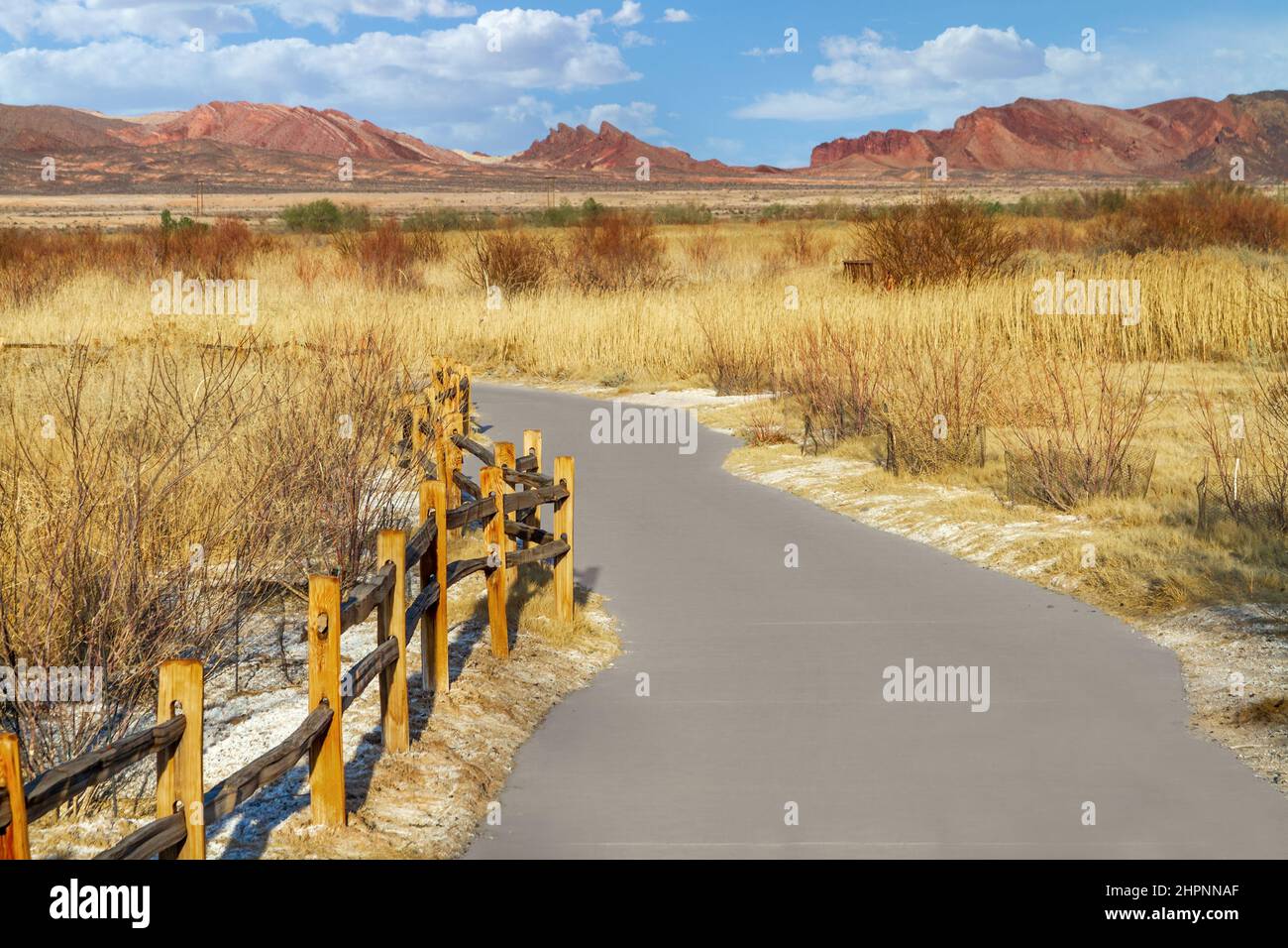 Gepflasterter Wanderweg am Duck Creek Trail in der Nähe von Las Vegas, Nevada Stockfoto