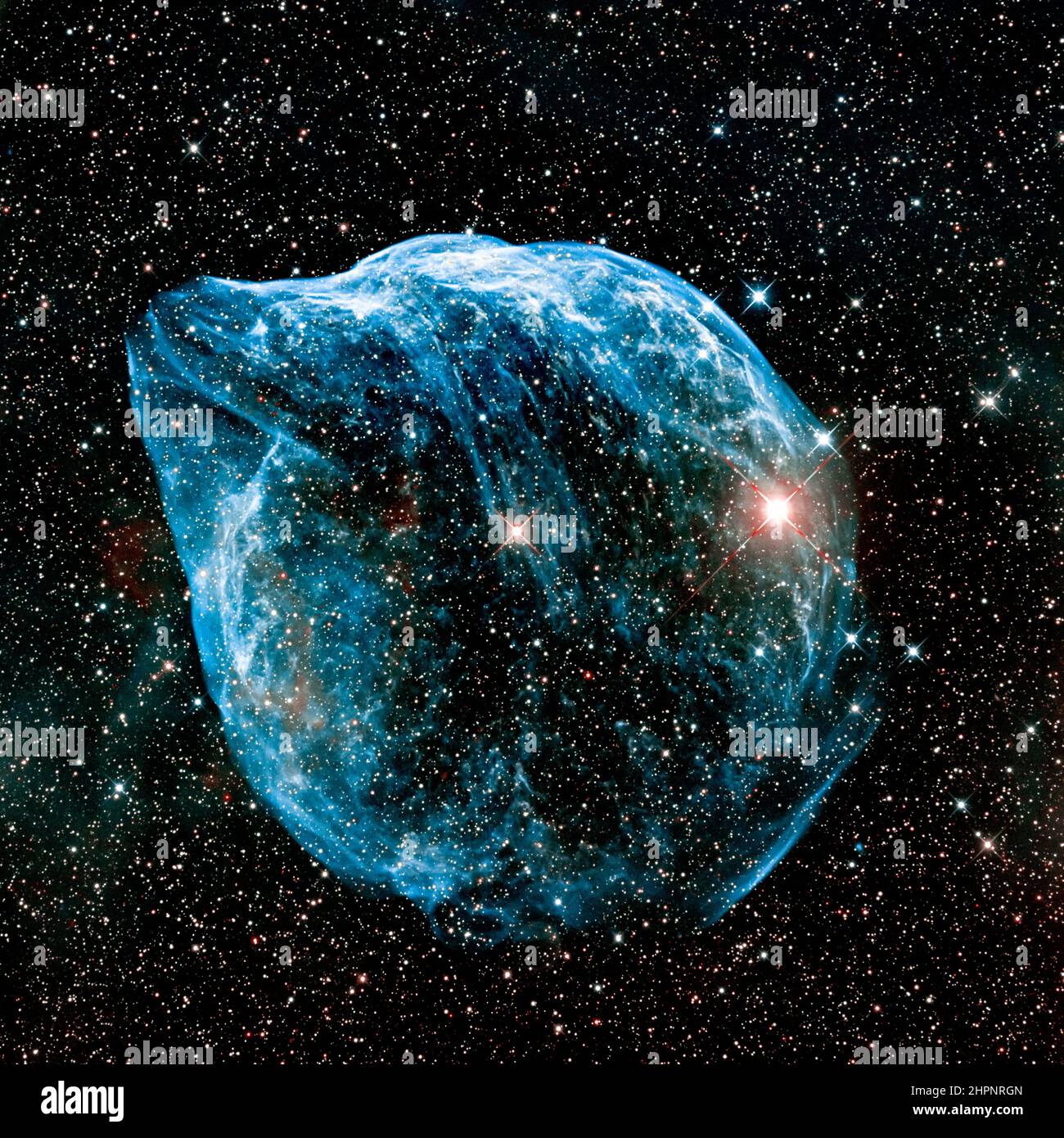 Astrofotografie - Dolphin Head Nebel - SH2-308 Stockfoto