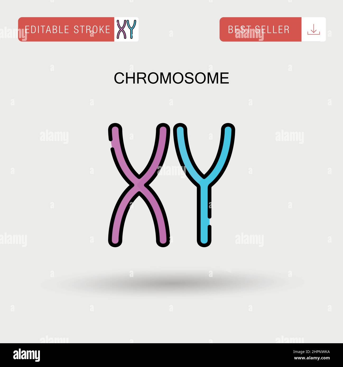 Einfaches Vektorsymbol für Chromosom. Stock Vektor