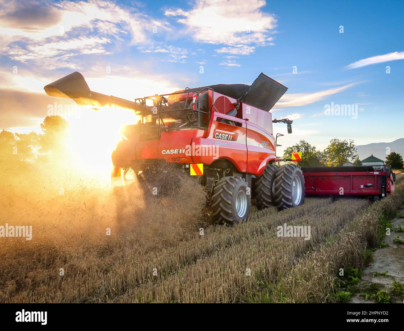 Sheffield, Canterbury, Neuseeland, Februar 18 2022: Ein großer moderner Case Harvester mit neuer automatisierter Technologie, bei der Gerstenernte Stockfoto