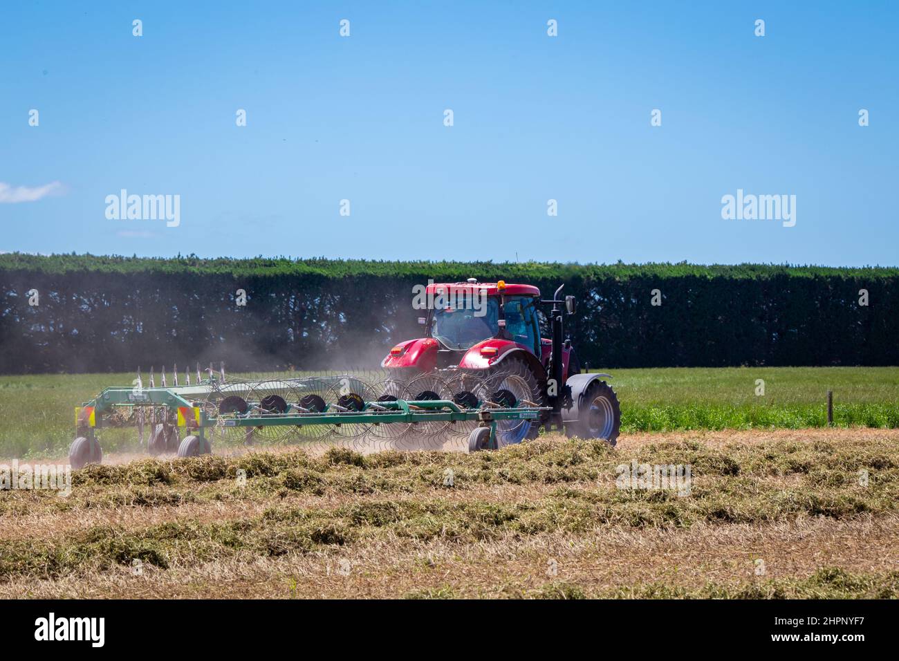 Canterbury, Neuseeland, 26. Dezember 2021: Ein Sattelschlepper zieht einen Heurechen um ein Ackerfeld, der das gemähte Gras in Reihen für die Heupresse abrollt Stockfoto