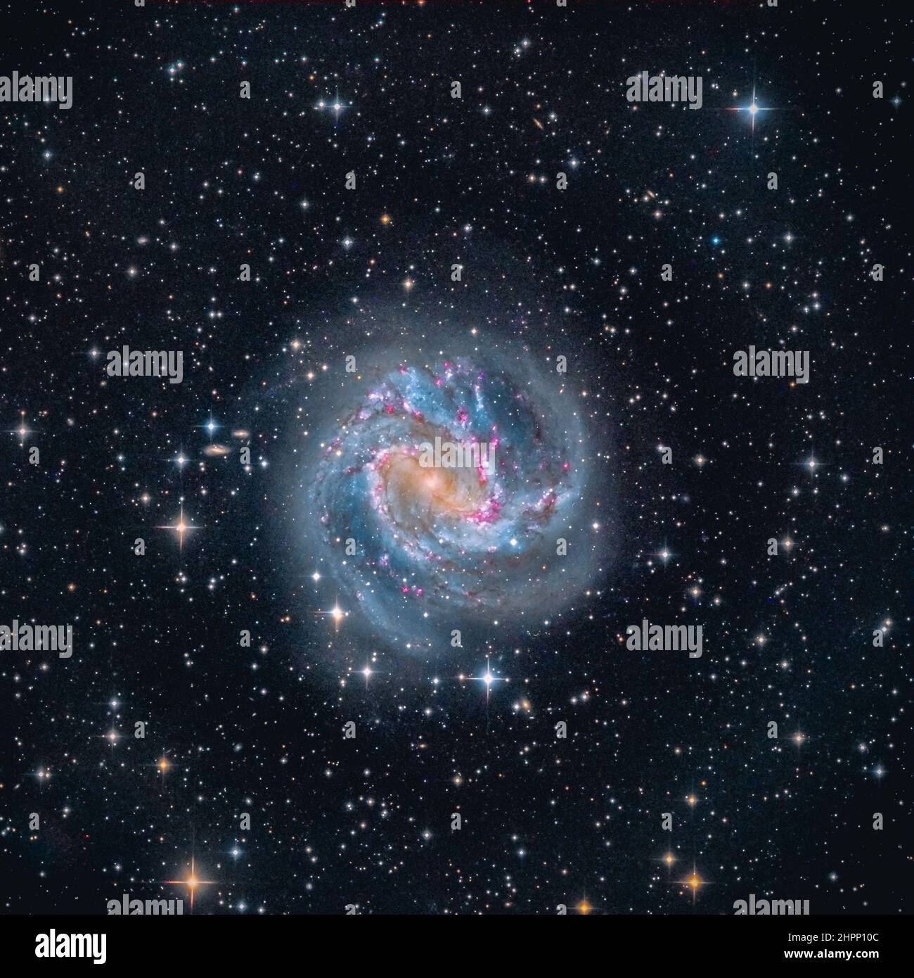 Messier 83 oder M83, auch bekannt als die Southern Pinwheel Galaxy und NGC 5236, ist eine Spiralgalaxie mit Sperrinen Stockfoto